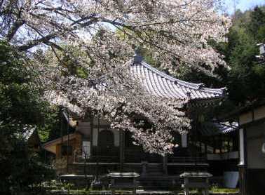 桜のお堂