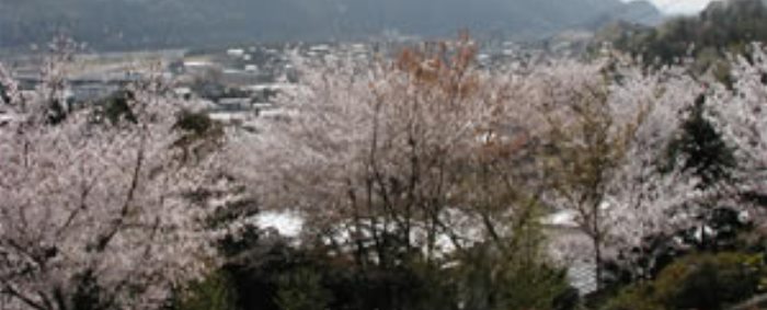 護国之寺からの眺望